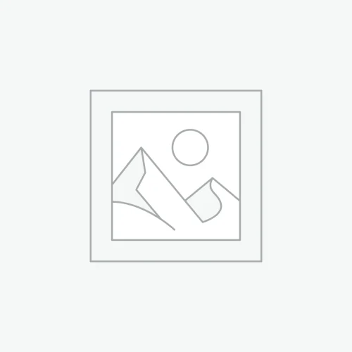 ASIL Basics | Kurti | Shades of Violet